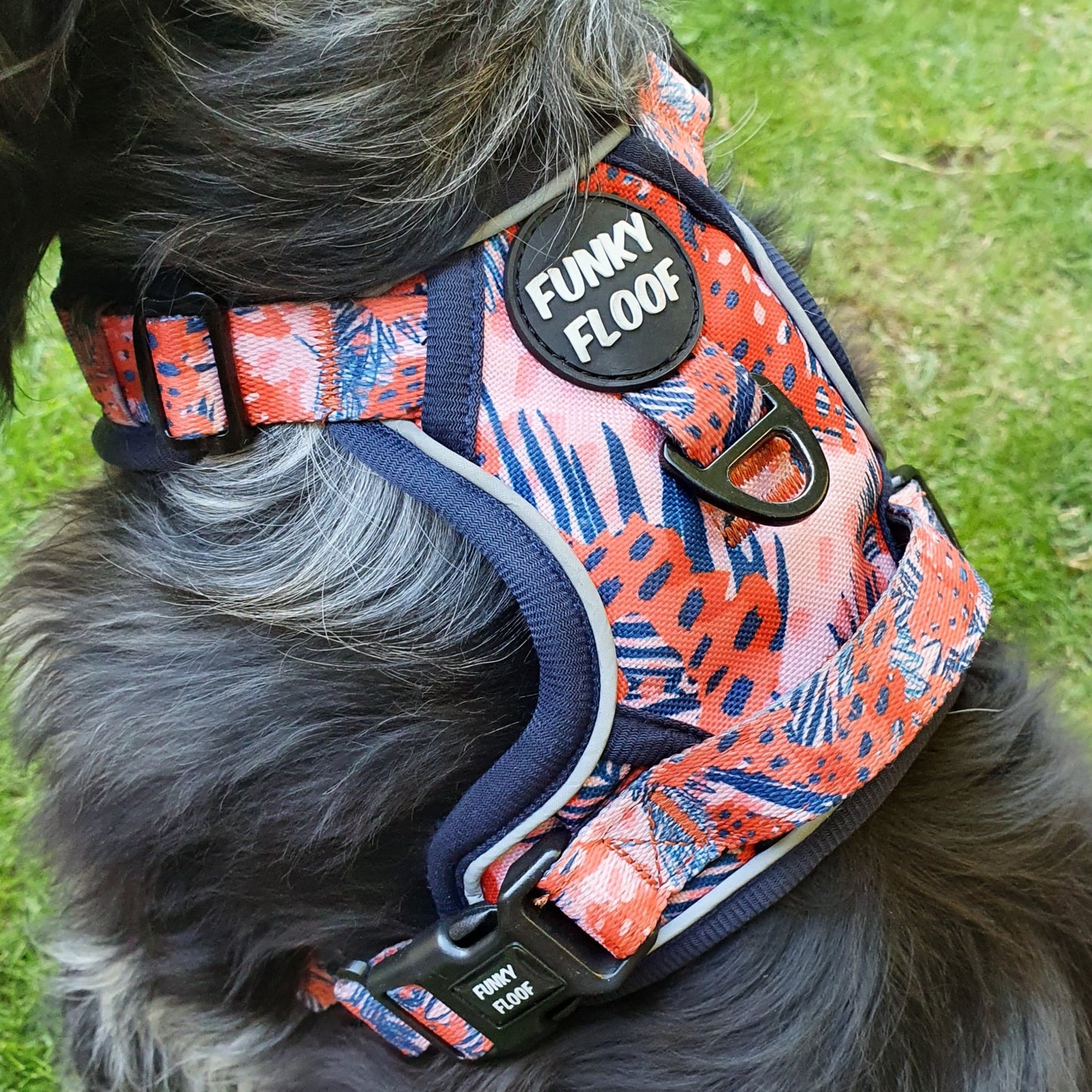 Funfari - Adventure Harness
