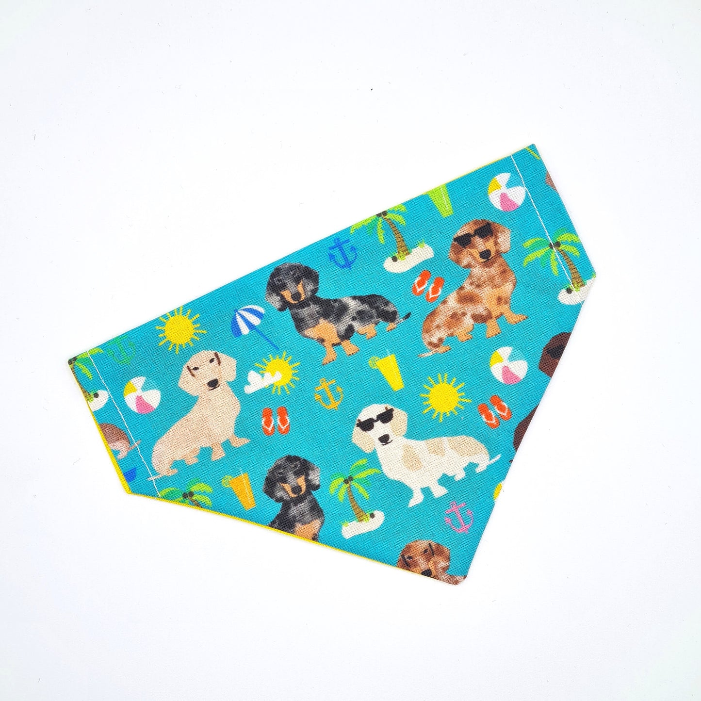 Summer Sausage - Bandana