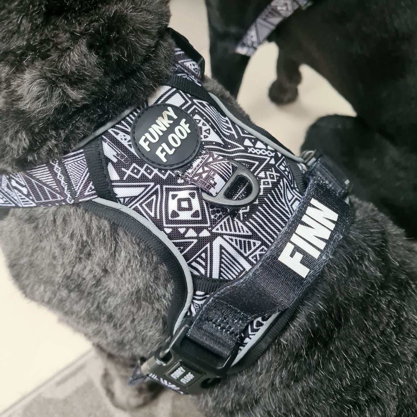 Tribal Tails - Adventure Harness