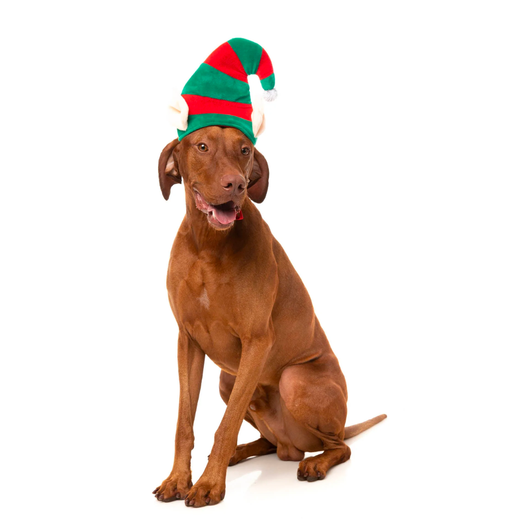 Elf Hat