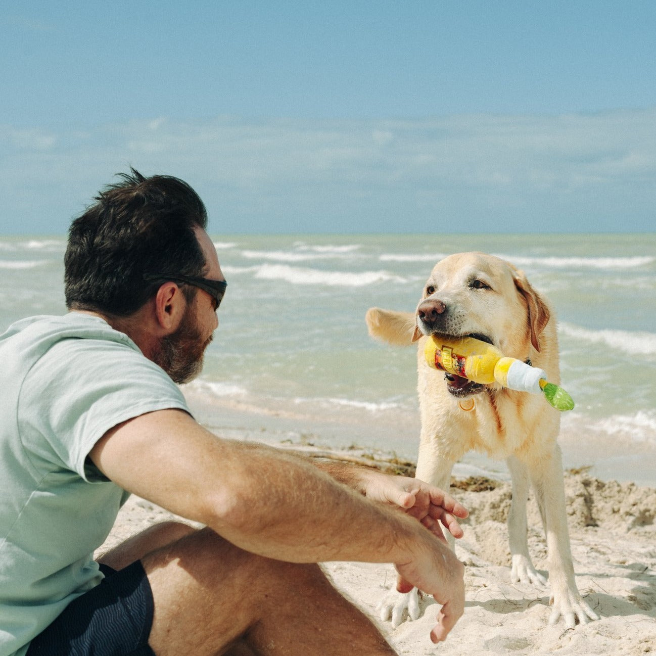 Tropical Paradise Canine Cerveza