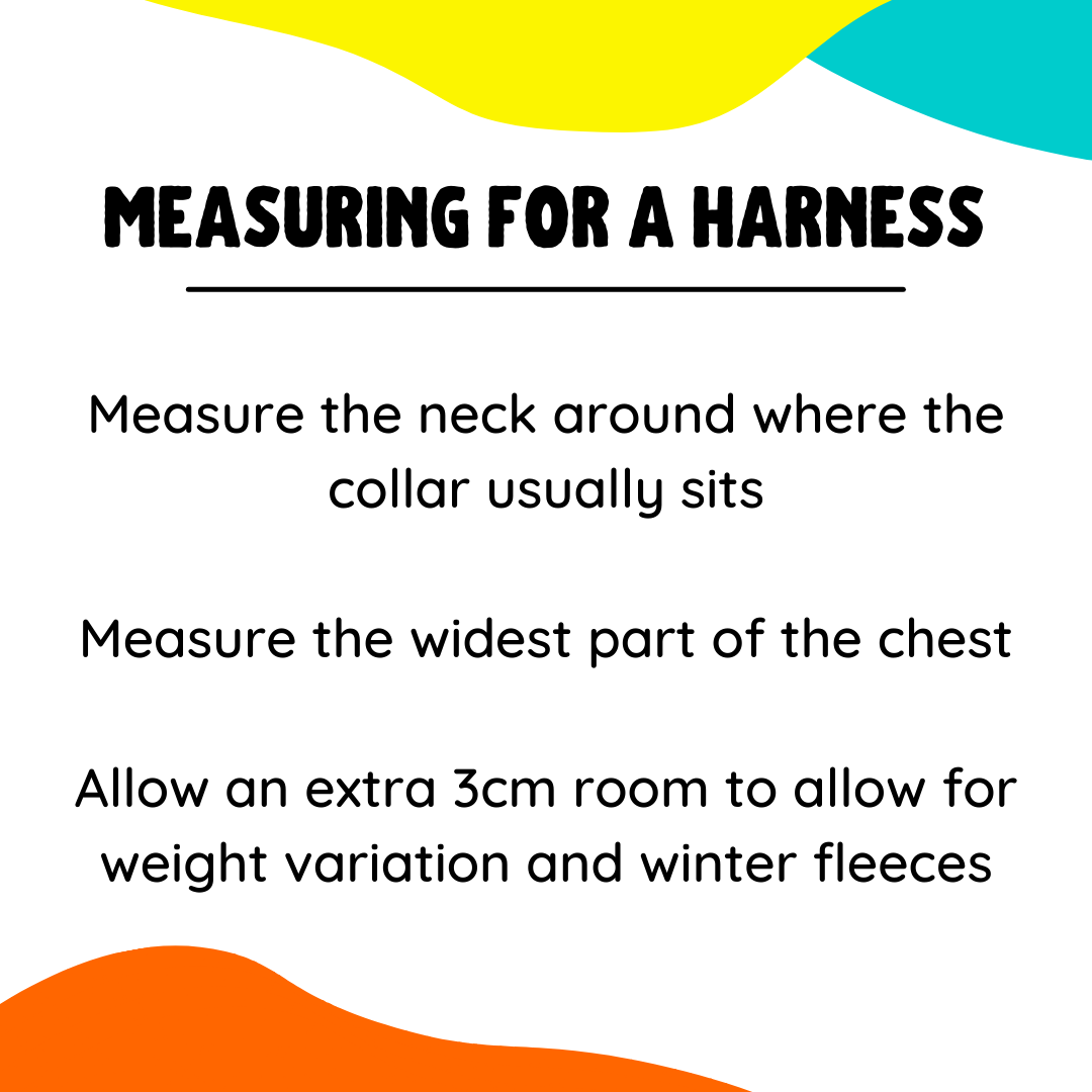 Into The Woods - Adventure Harness