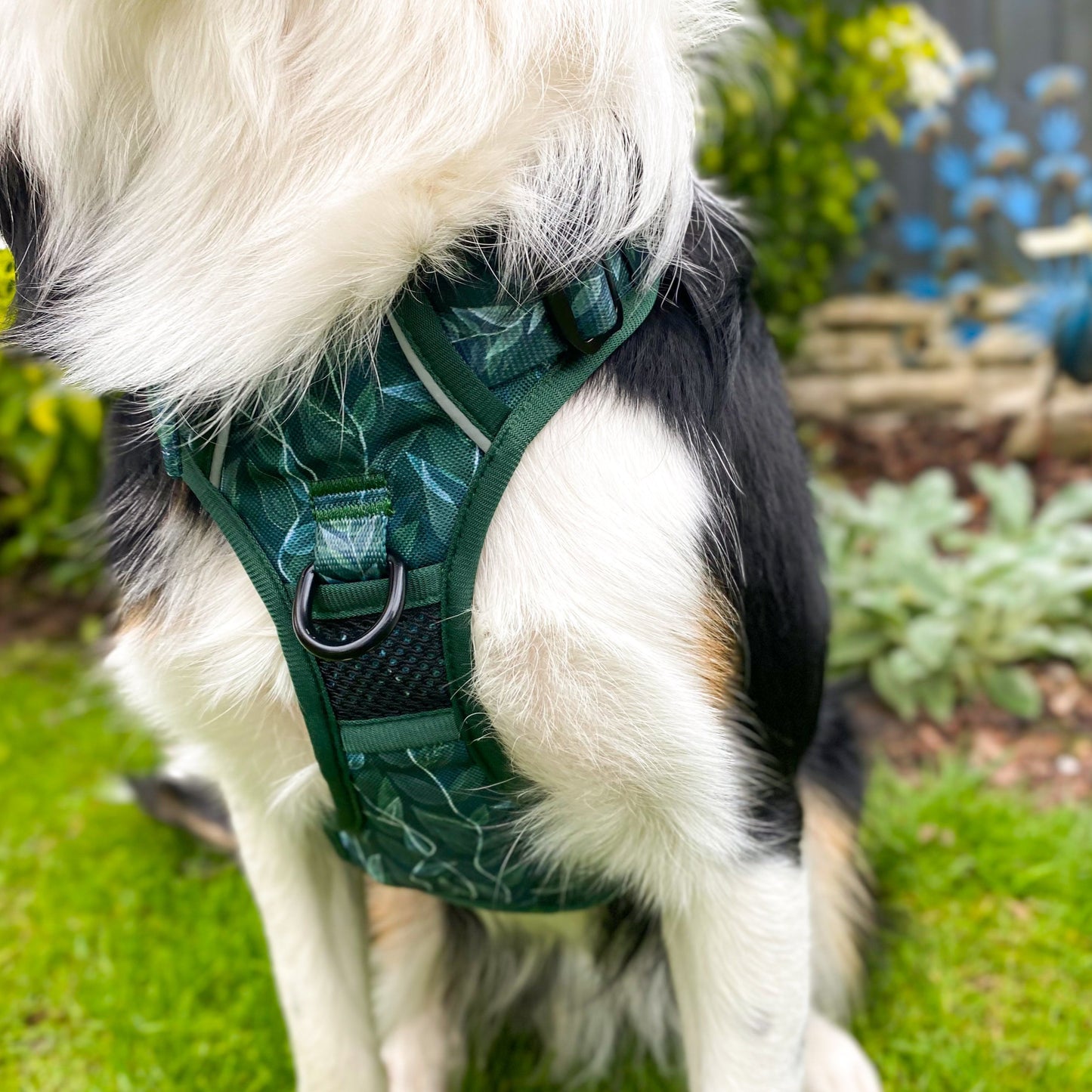 Evergreen - Adventure Harness