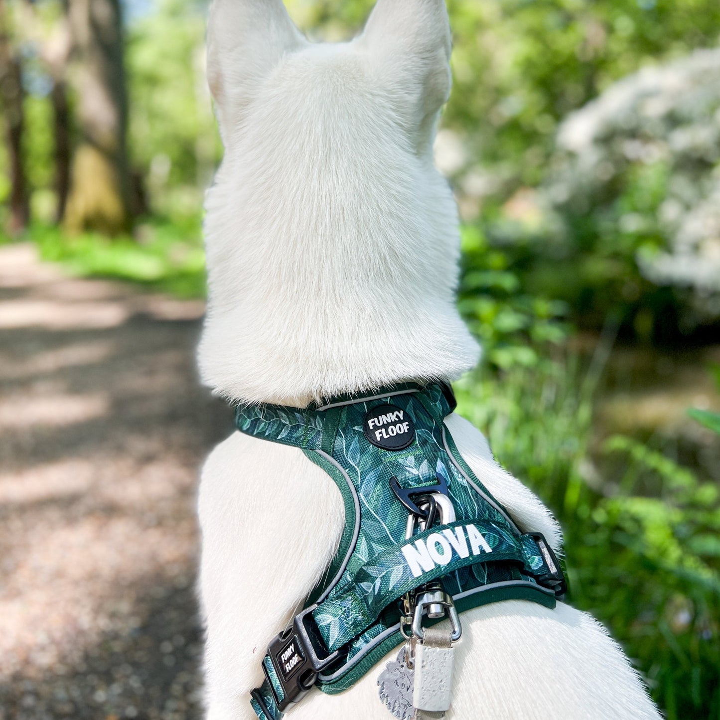 Evergreen - Adventure Harness