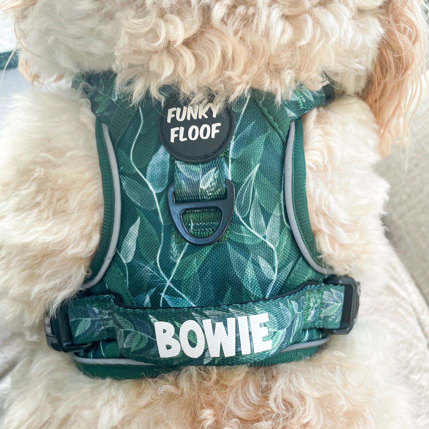 Evergreen - Adventure Harness