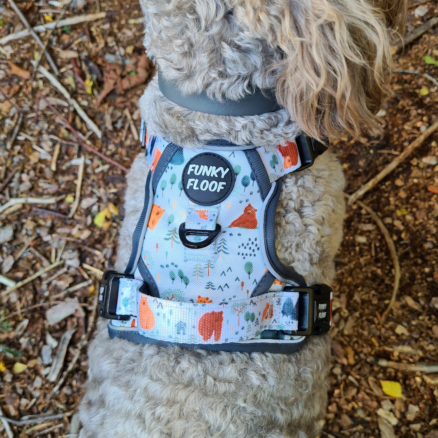 Into The Woods - Adventure Harness