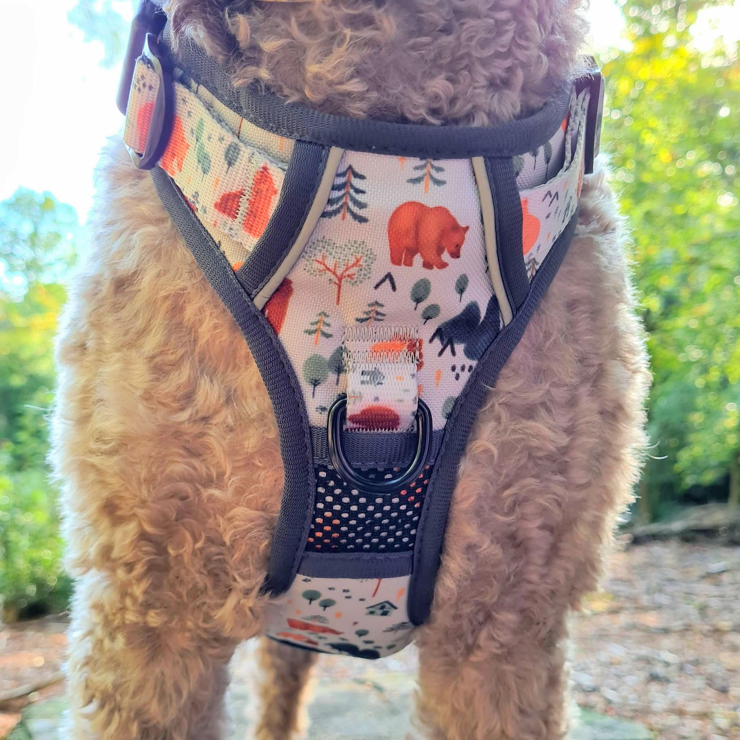 Into The Woods - Adventure Harness