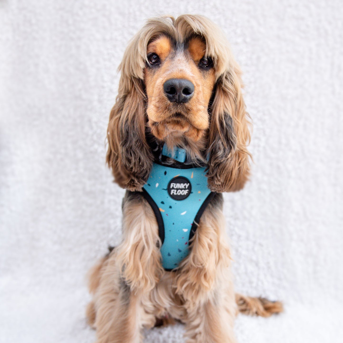 Amalfi - Classic Harness