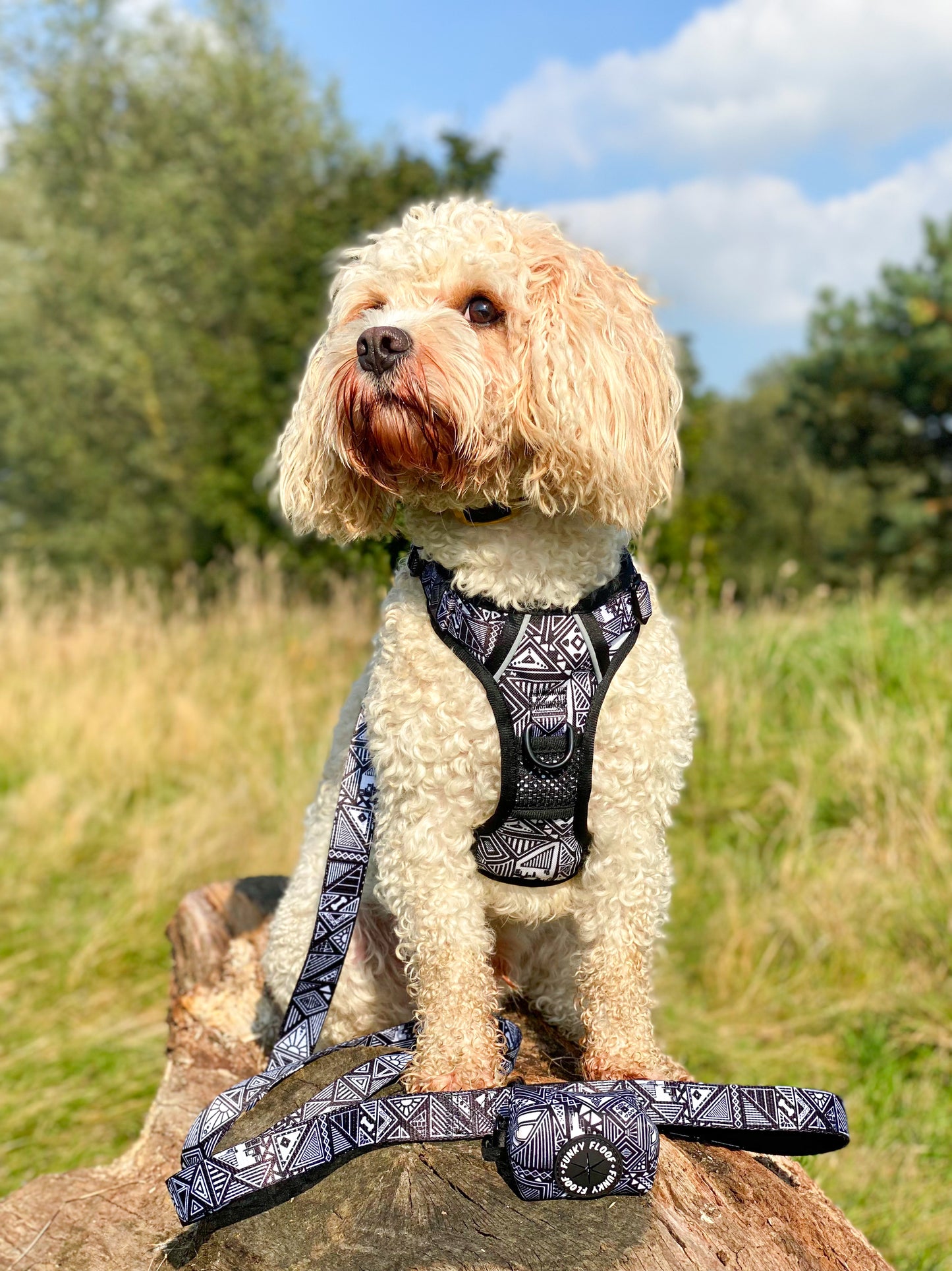 Tribal Tails - Adventure Harness