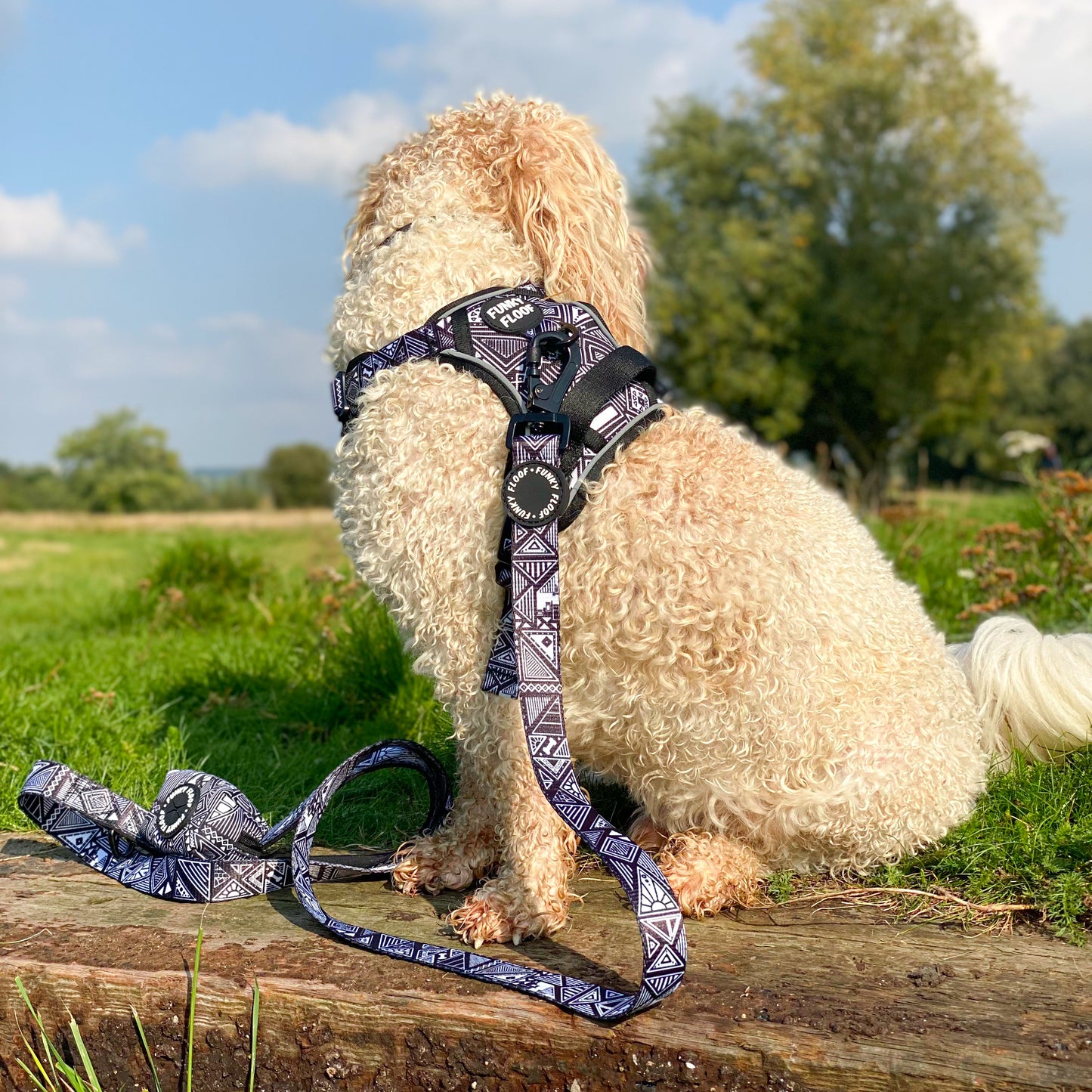 Tribal Tails - Adventure Harness