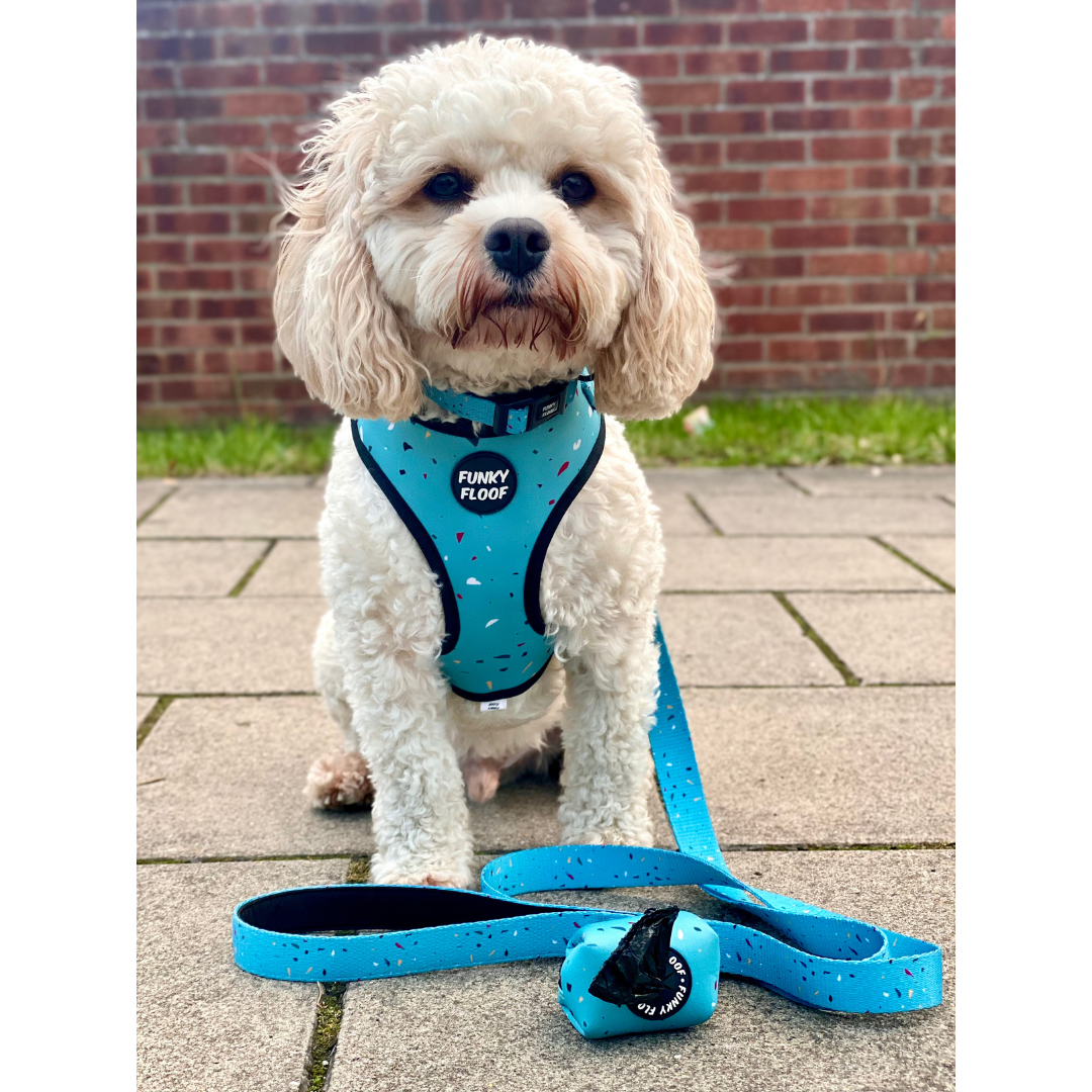 Amalfi - Classic Harness