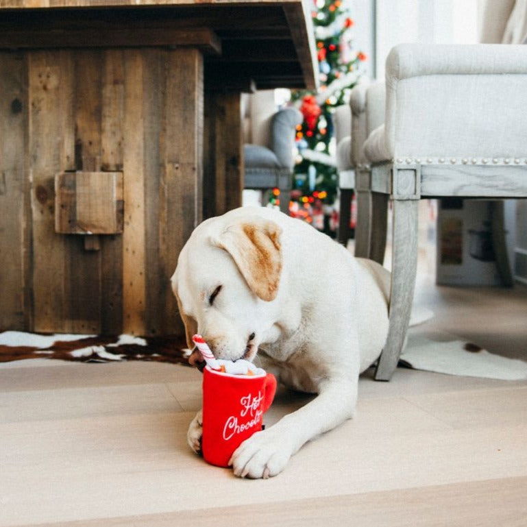 Hot Chocolate