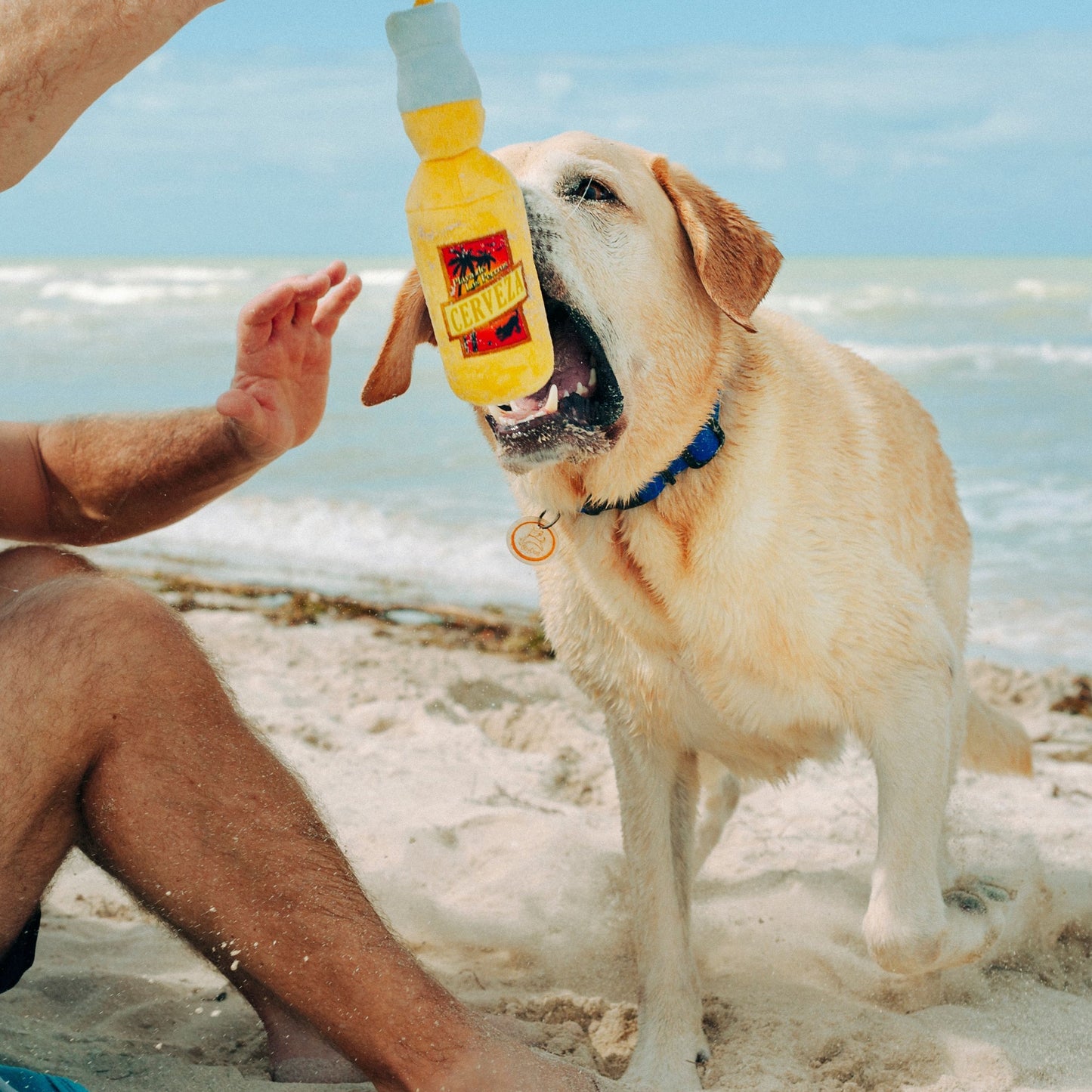 Tropical Paradise Canine Cerveza
