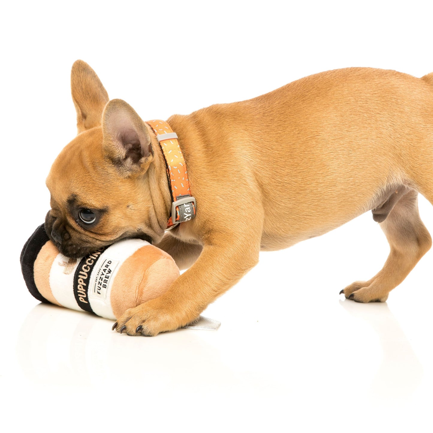 Puppuccino Dog Toy