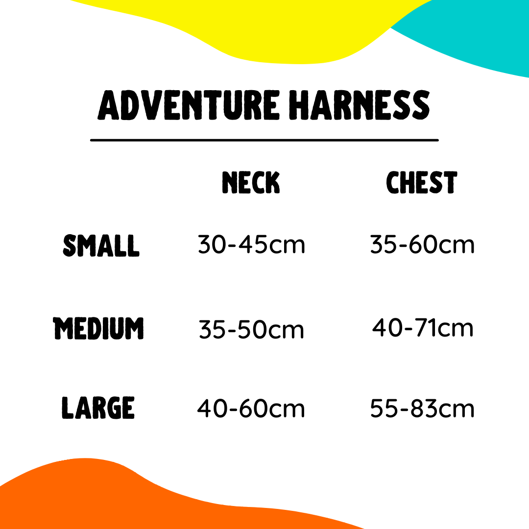 [SECONDS] Funfari - Adventure Harness