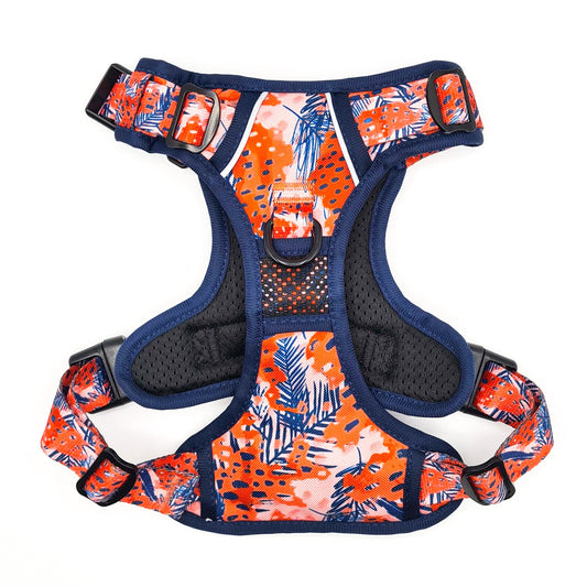 [SECONDS] Funfari - Adventure Harness