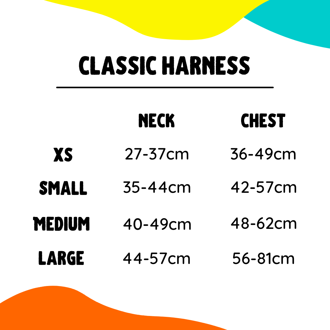 Club Tropicana - Classic Harness
