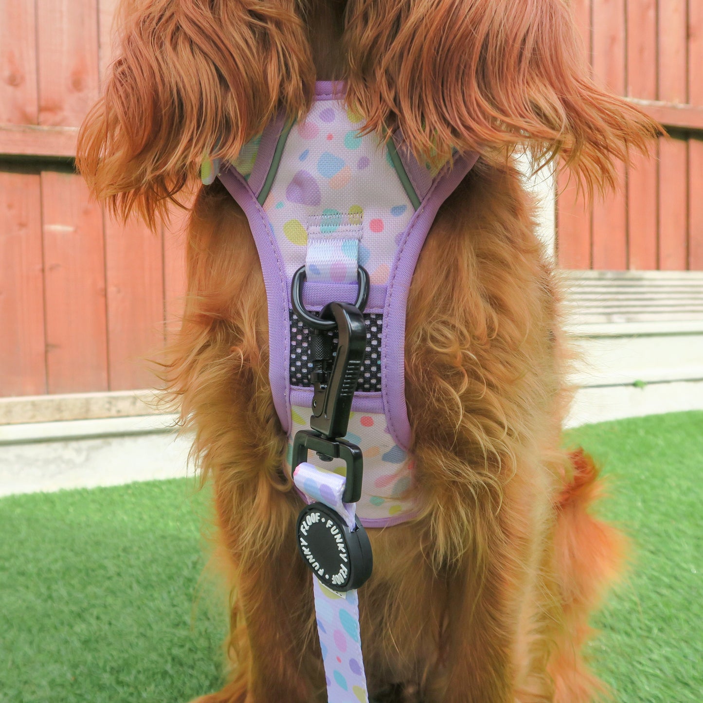 [SECONDS] Bubblegum Burst - Adventure Harness