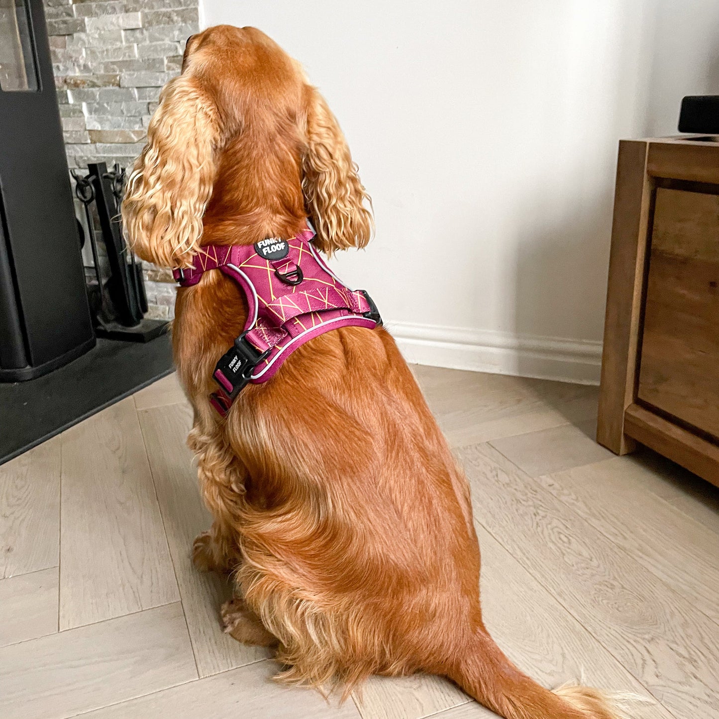 [SECONDS] Merlot Magic - Adventure Harness