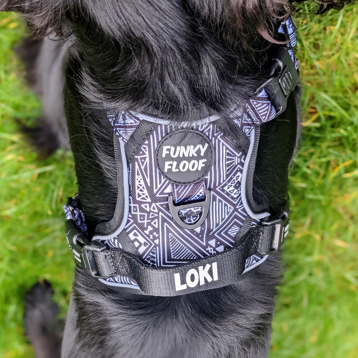 [SECONDS] Tribal Tails - Adventure Harness