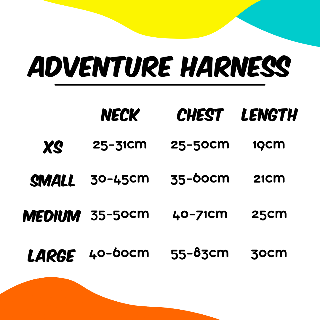 Evergreen - Adventure Harness