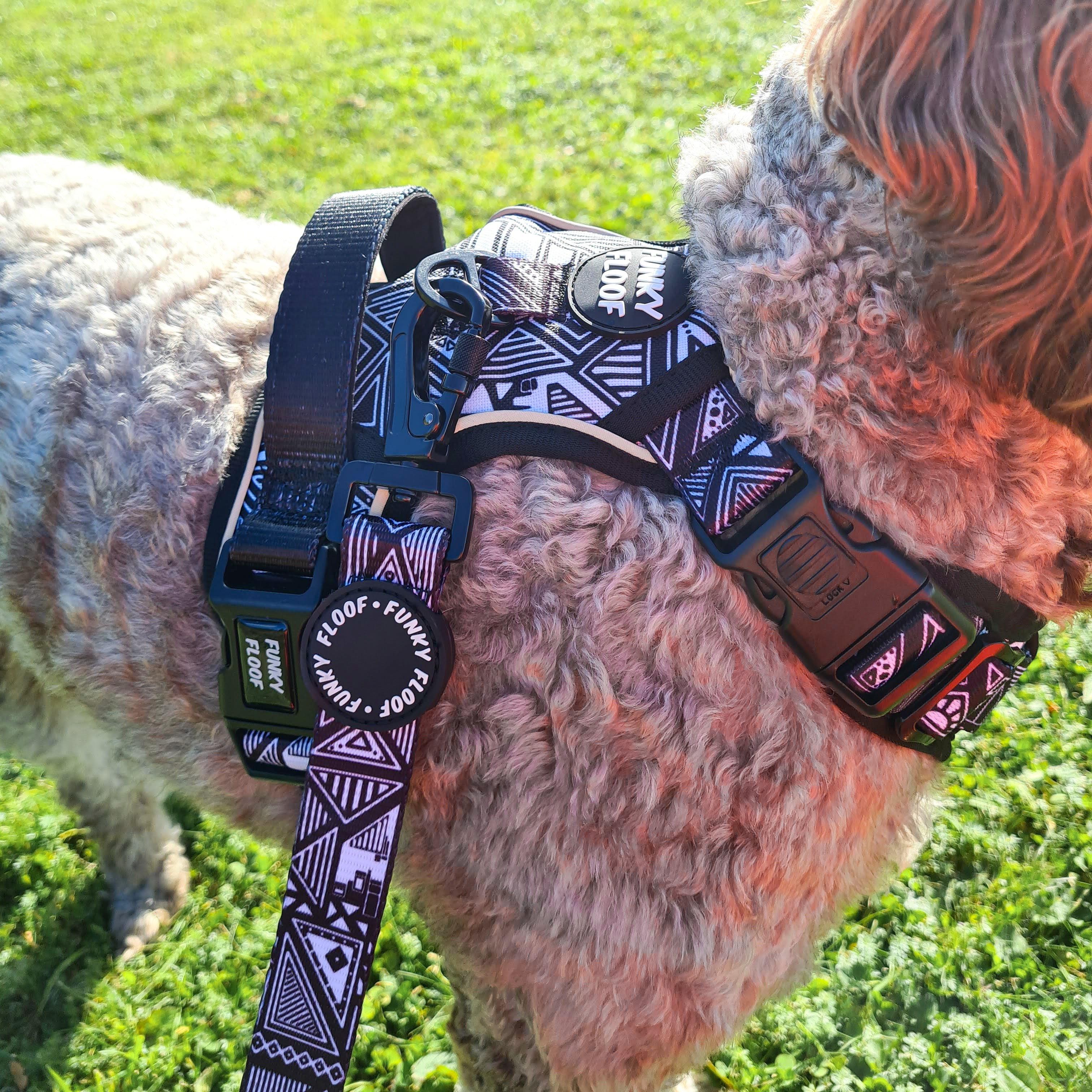 Funky shop dog harness