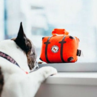 Suitcase Dog Toy